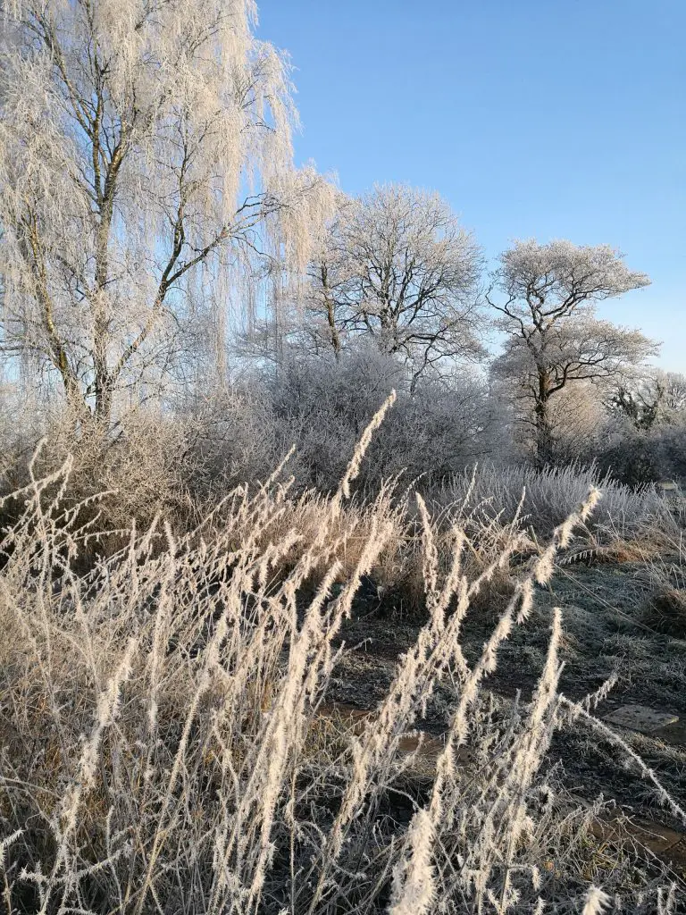 Winterlandschaft