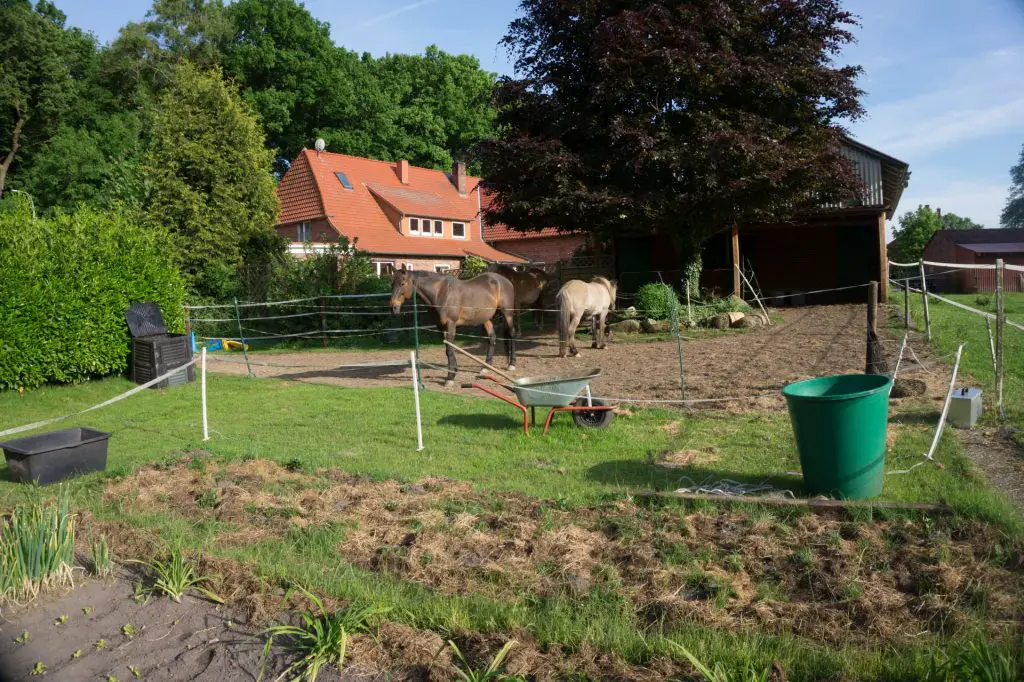 Garten und Pferde